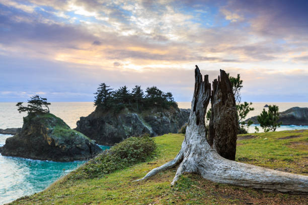 hotel rooms brookings oregon